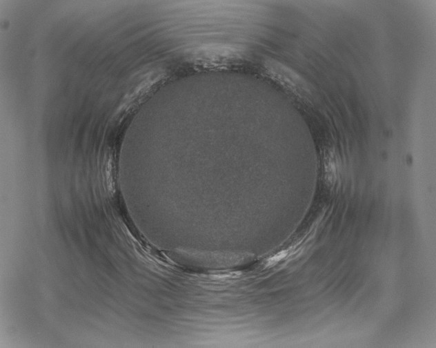 X0000070411060200606091145