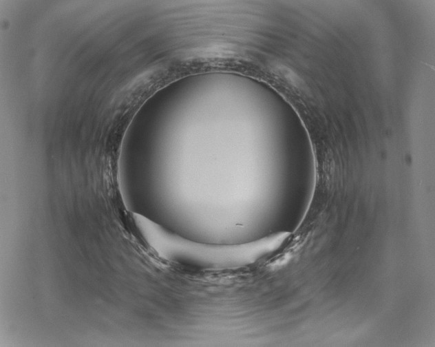 X0000070411062200606091145