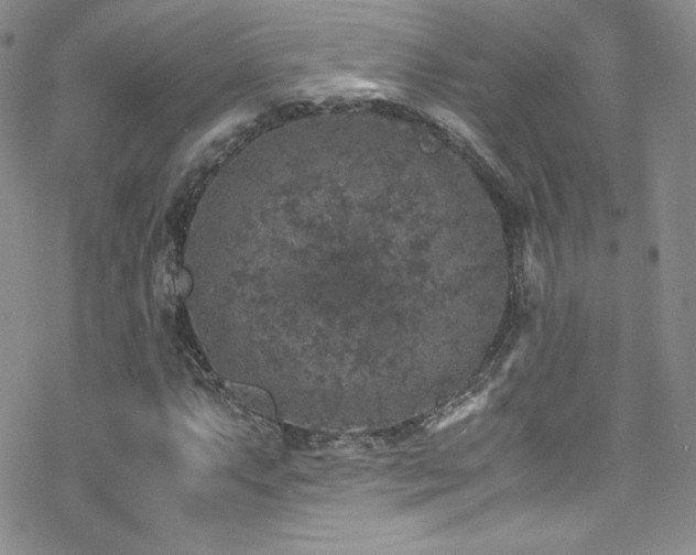 X0000070411063200606091145