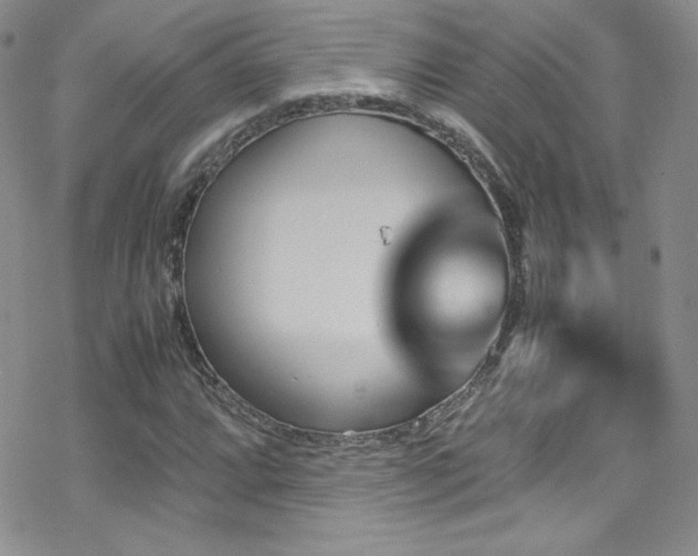 X0000070411064200606091145