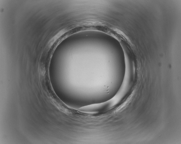 X0000070411065200606091145