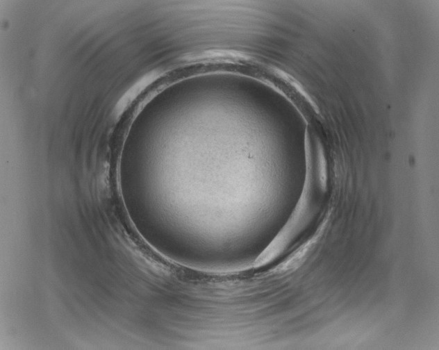 X0000070411066200606091145