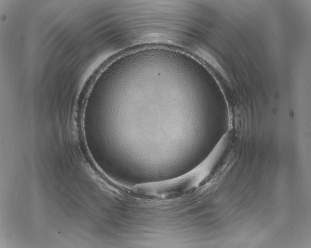 X0000070411068200606091145