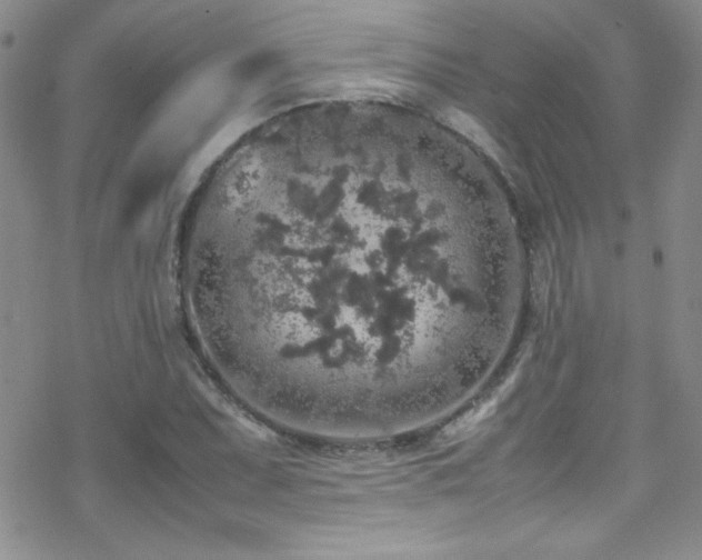 X0000070411071200606091145