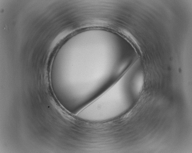 X0000070411072200606091145