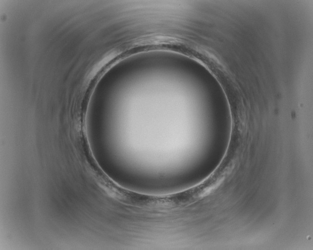 X0000070411073200606091145