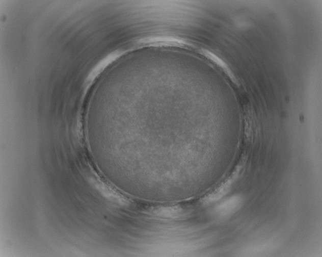 X0000070411074200606091145