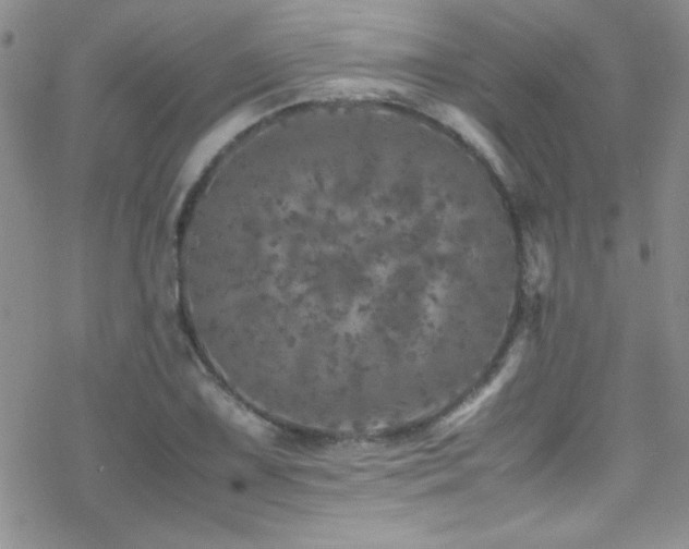 X0000070411075200606091145