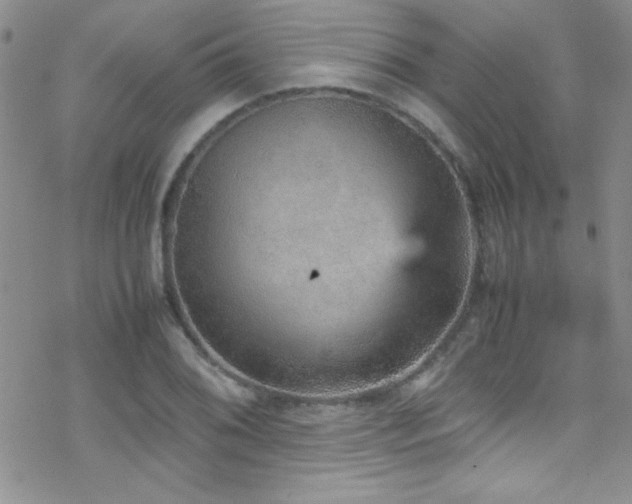 X0000070411076200606091145