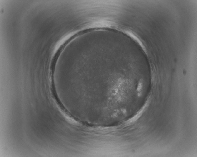 X0000070411077200606091145