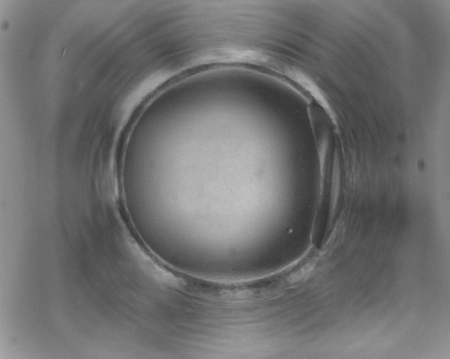 X0000070411080200606091145