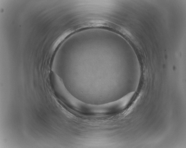 X0000070411081200606091145