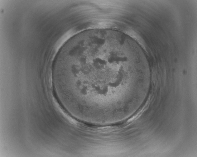 X0000070411083200606091145