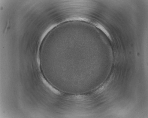 X0000070411084200606091145