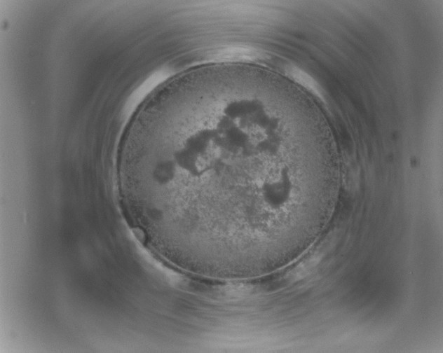 X0000070411087200606091145