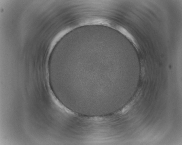 X0000070411088200606091145