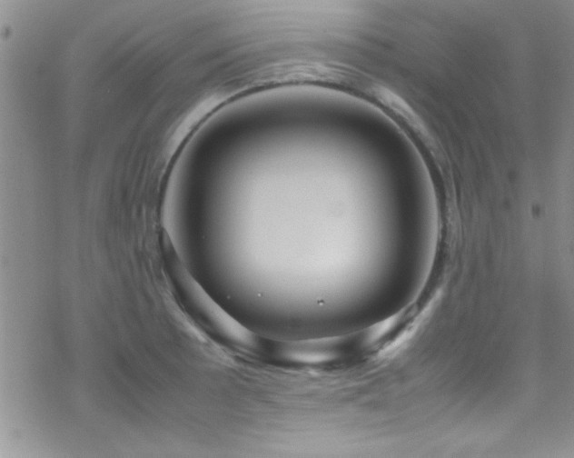 X0000070411089200606091145