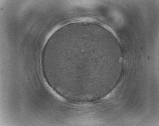 X0000070411091200606091145