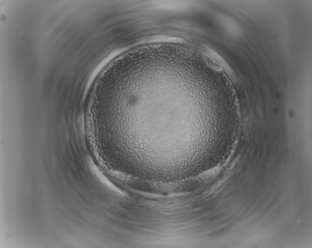 X0000070411092200606091145