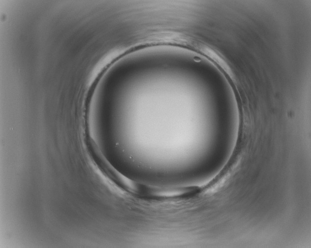 X0000070411093200606091145