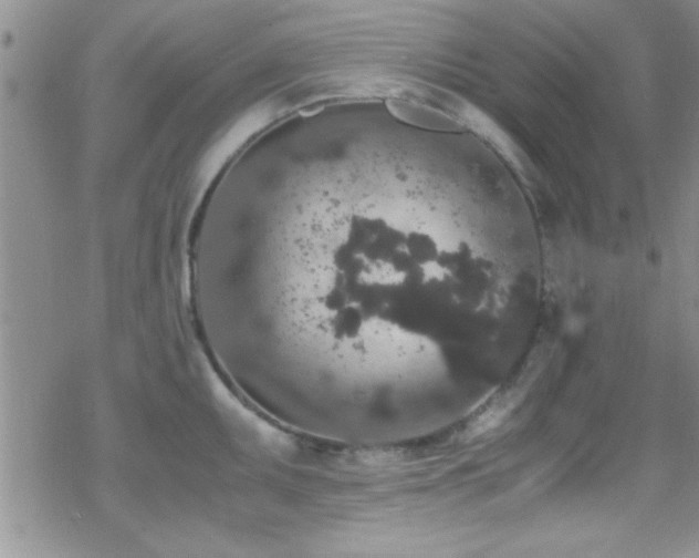 X0000070411095200606091145