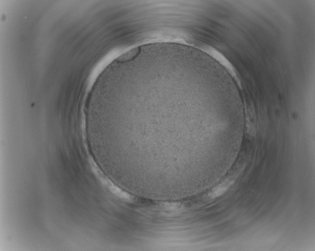 X0000070411096200606091145