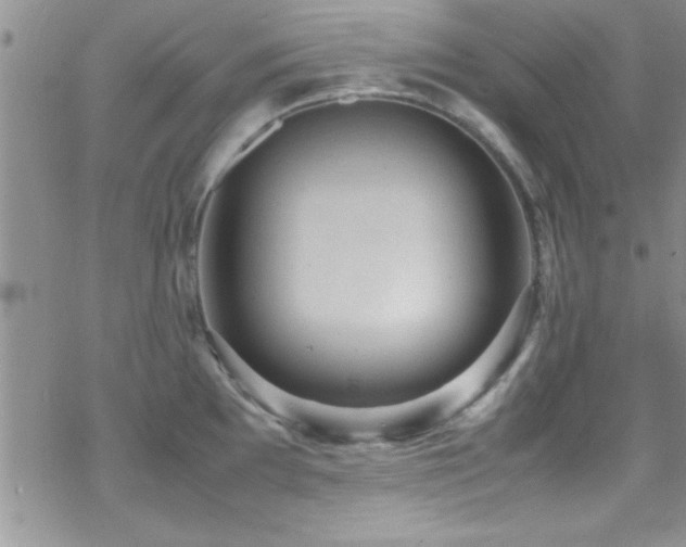 X0000070411097200606091145