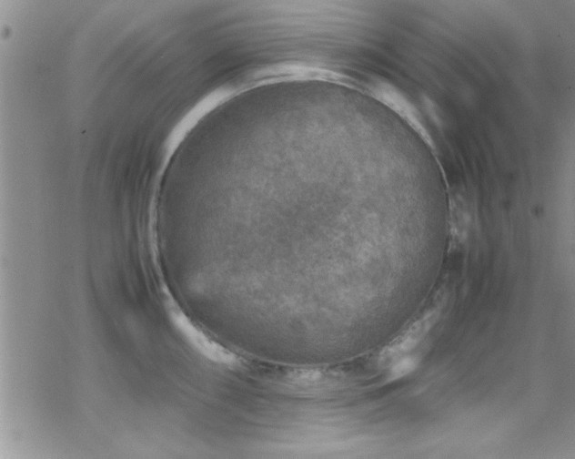 X0000070411098200606091145