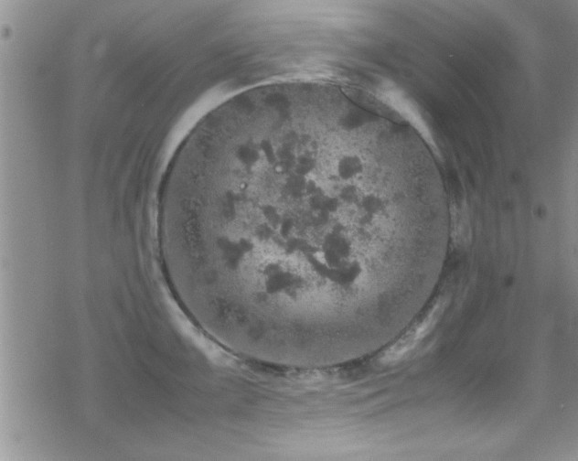 X0000070411099200606091145