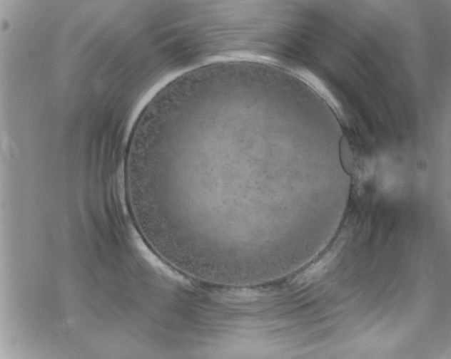 X0000070411100200606091145