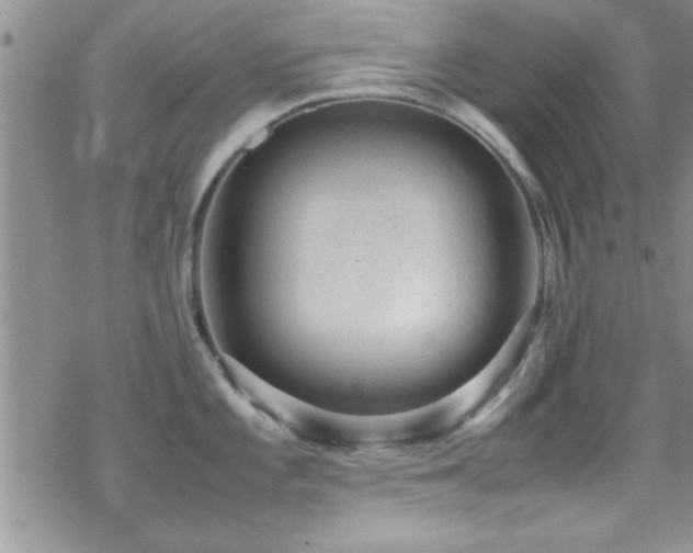 X0000070411101200606091145