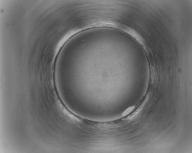 X0000070411102200606091145