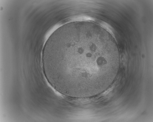 X0000070411103200606091145