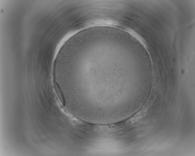 X0000070411104200606091145