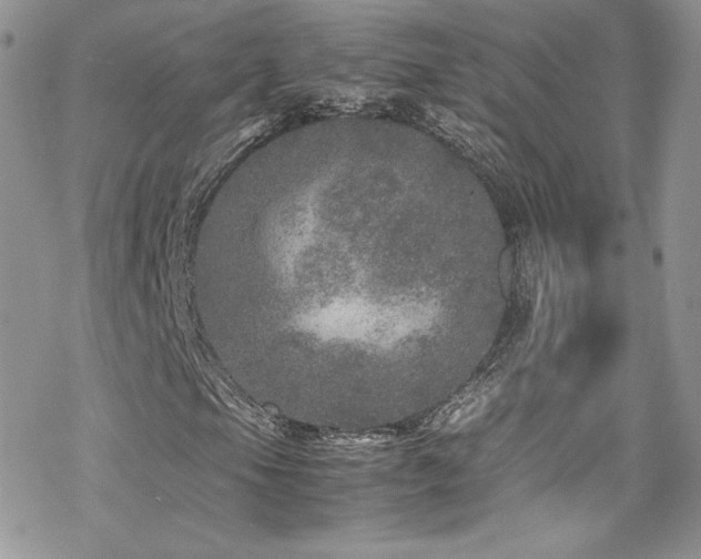 X0000070411105200606091144