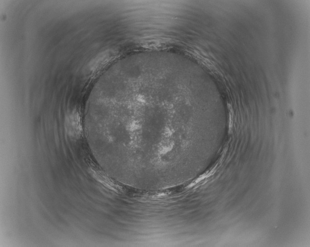 X0000070411106200606091144