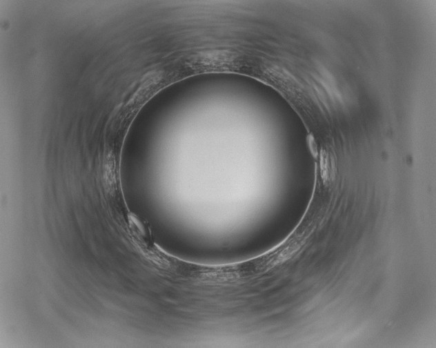 X0000070411107200606091144