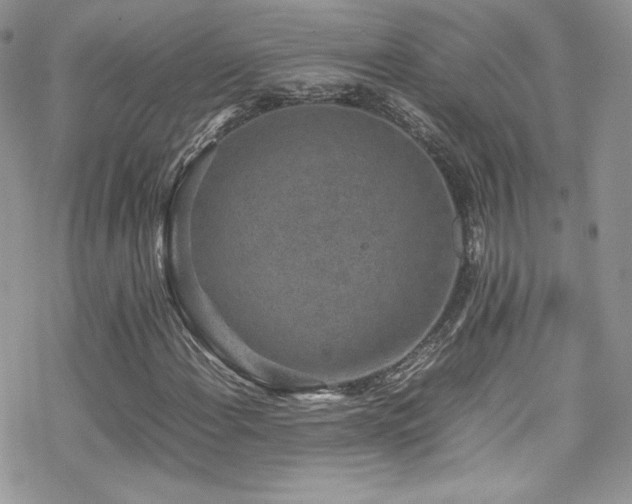 X0000070411108200606091144