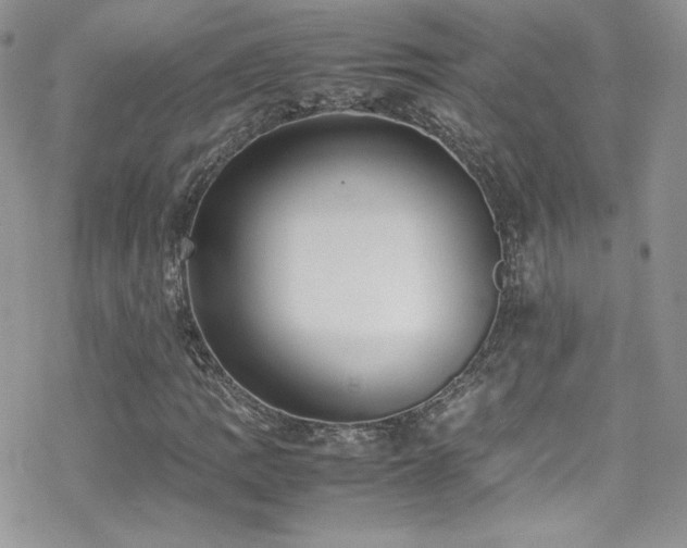 X0000070411109200606091144