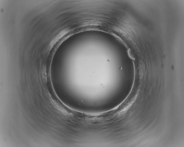 X0000070411113200606091144