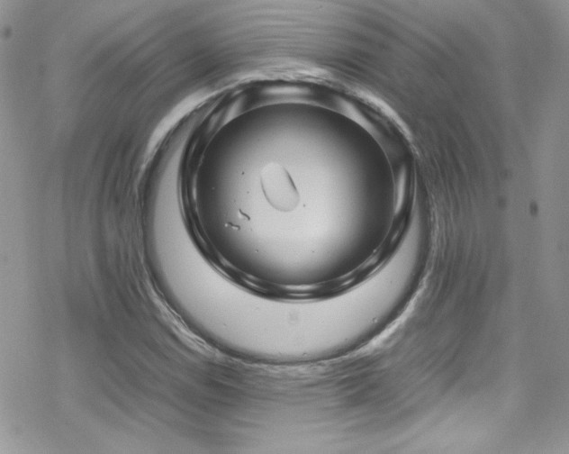 X0000070411114200606091144