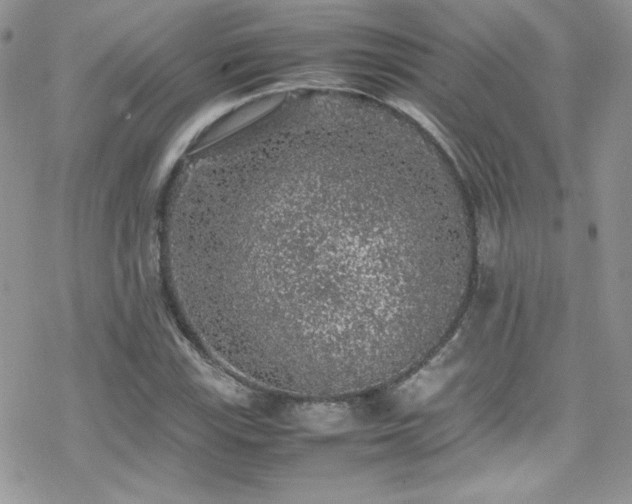 X0000070411115200606091144