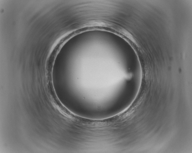 X0000070411116200606091144