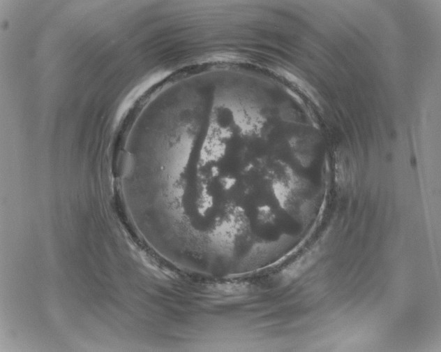 X0000070411117200606091144