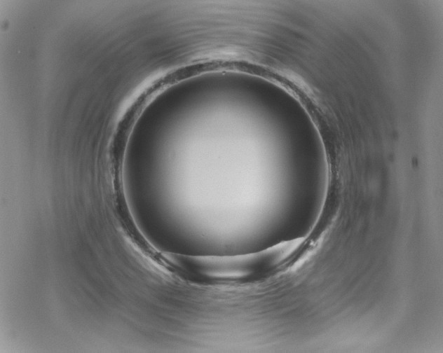 X0000070411118200606091144