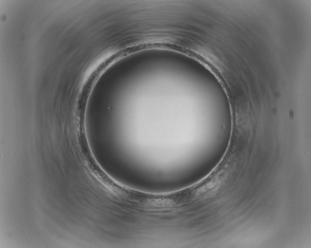 X0000070411119200606091144