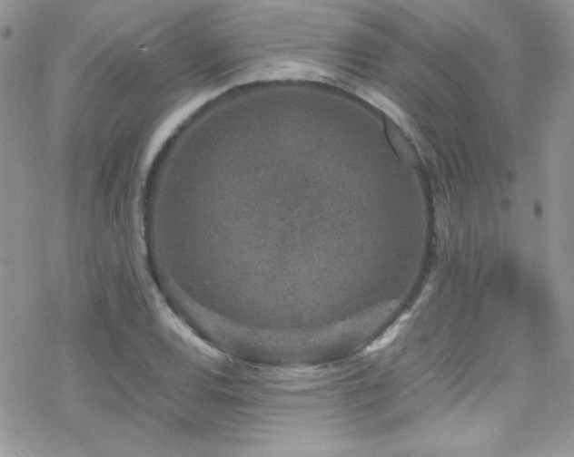 X0000070411120200606091144