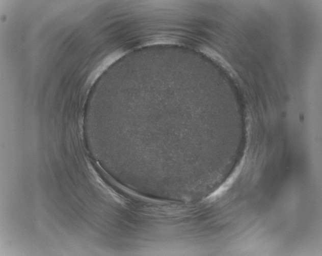 X0000070411121200606091144