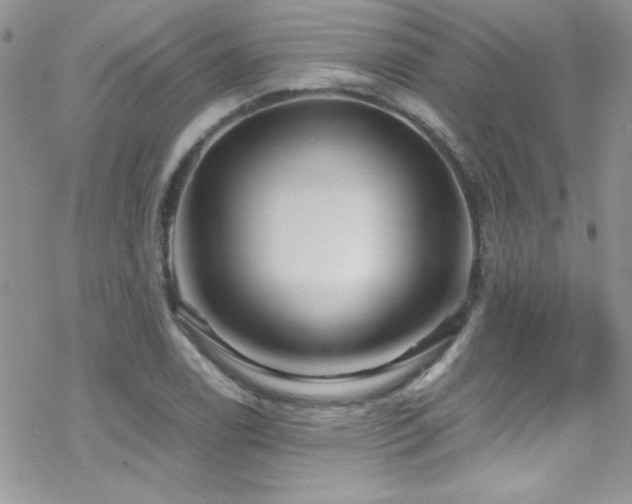 X0000070411122200606091144