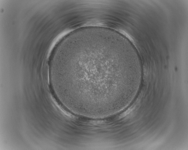 X0000070411123200606091144